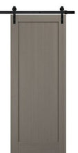 Load image into Gallery viewer, Oahu -1 Panel Farmhouse Rustic Interior Sliding Barn Doors