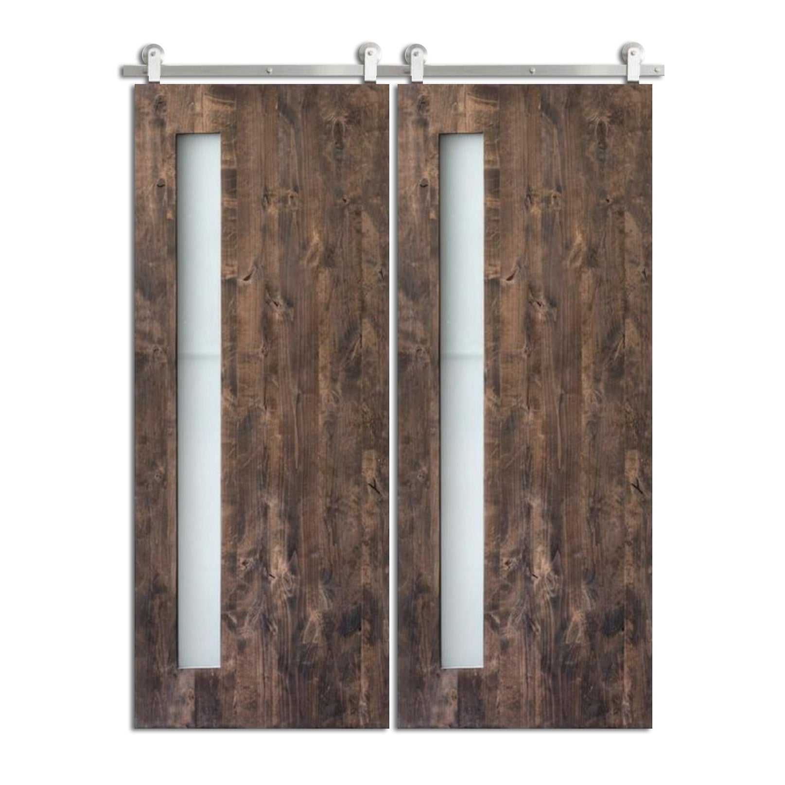 Poysbirge - Modern One Vertical Glass Panel Double Barn Door