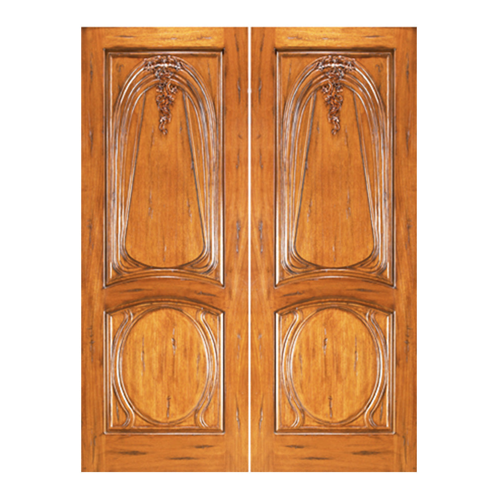 Zaxira - Artistic Unique Home Door
