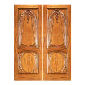 Zaxira - Artistic Unique Home Door