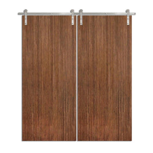 Liniacum - Modern Plank Interior Sliding Double Barn Door