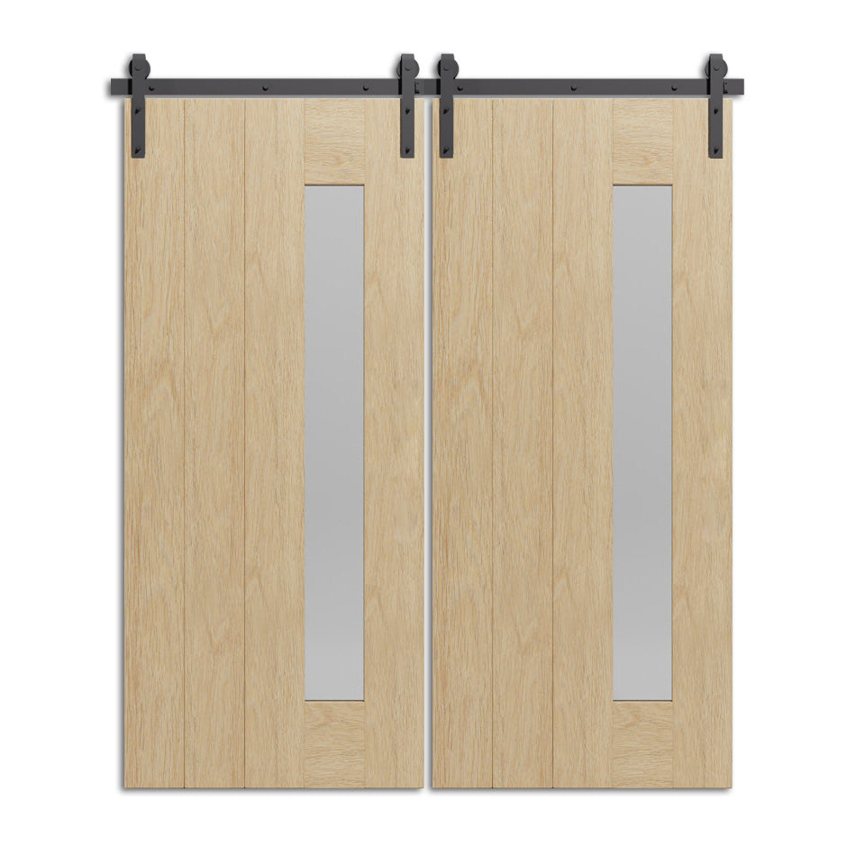 Lihnidos - Modern One Vertical Glass Panel Design Double Barn Door