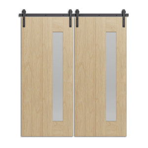 Lihnidos - Modern One Vertical Glass Panel Design Double Barn Door